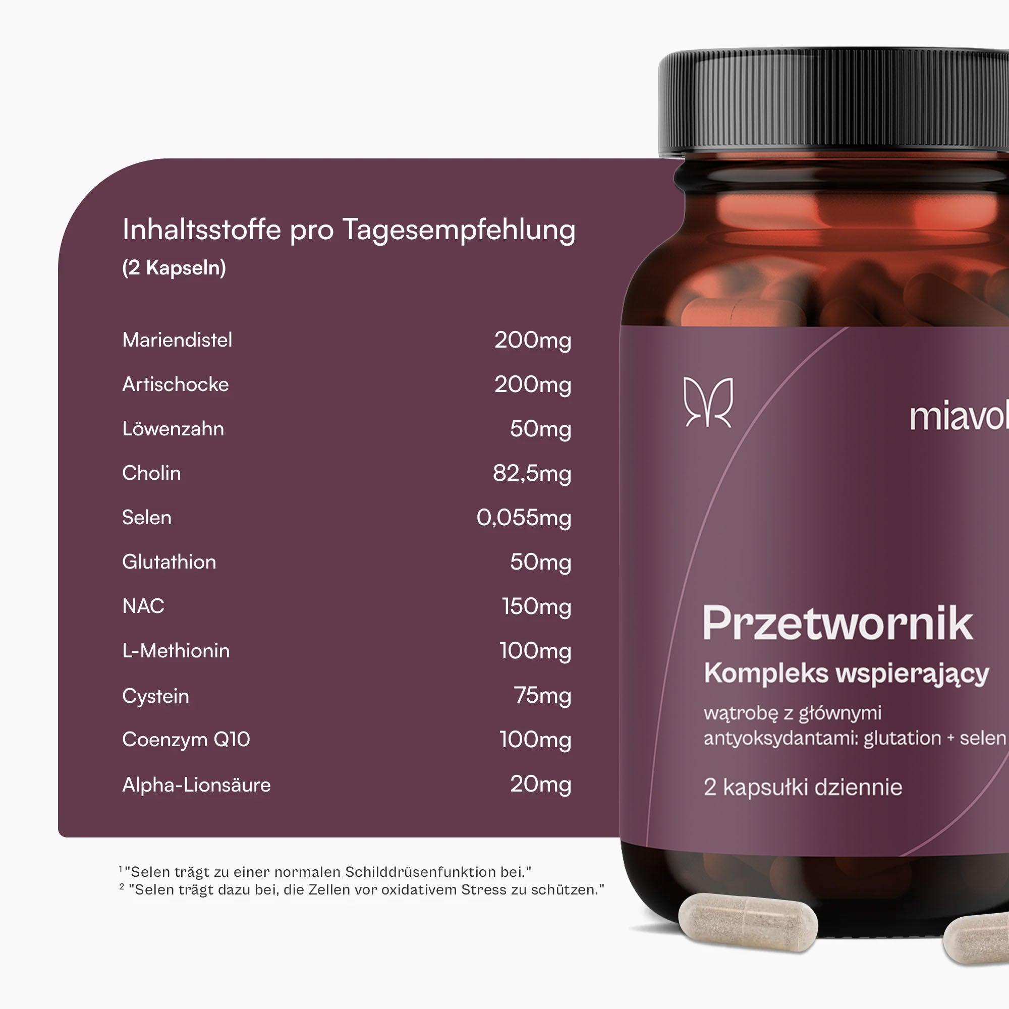 2DerUmwandler_Produktgrafik_5.1_2048x2048_korrekturZahl_2048x2048_dce6dbc5-b368-42c7-8bee-bd6009b01e4c.jpg