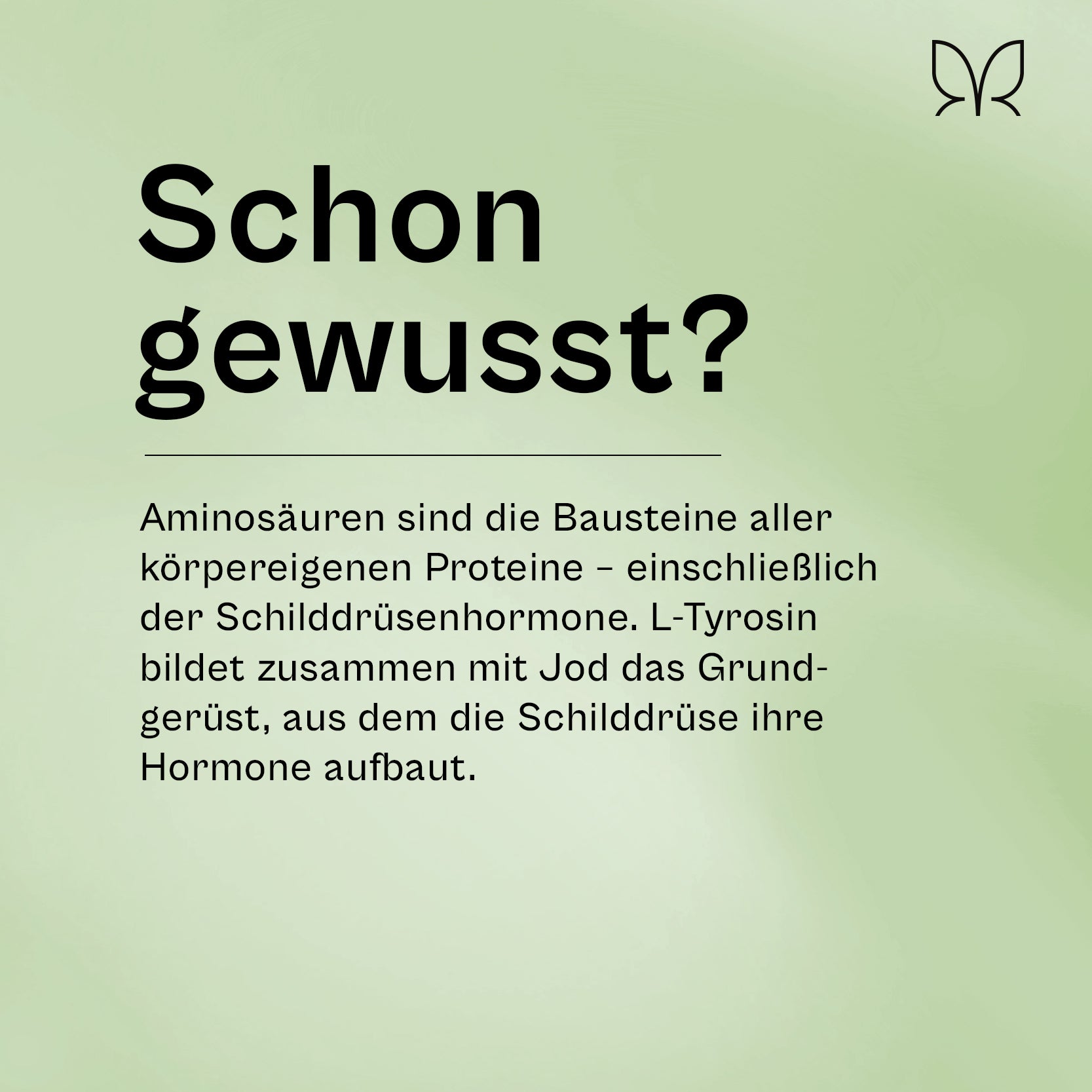 Infokachel „Schon gewusst?": Aminosäuren sind die Bausteine aller körpereigenen Proteine, L-Tyrosin bildet zusammen mit Jod das Grundgerüst der Schilddrüsenhormone