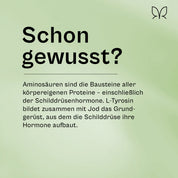 Infokachel „Schon gewusst?": Aminosäuren sind die Bausteine aller körpereigenen Proteine, L-Tyrosin bildet zusammen mit Jod das Grundgerüst der Schilddrüsenhormone