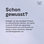 Infokachel „Schon gewusst?": Kollagen ist das häufigste Protein im menschlichen Körper, macht rund ein Drittel der Proteinmasse aus und kommt vor allem in Haut, Knochen, Sehnen und Bindegewebe vor