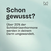 Der Magenfreund, information dass 20 Prozent der Schilddrüsenhormone im Darm umgewandelt werden