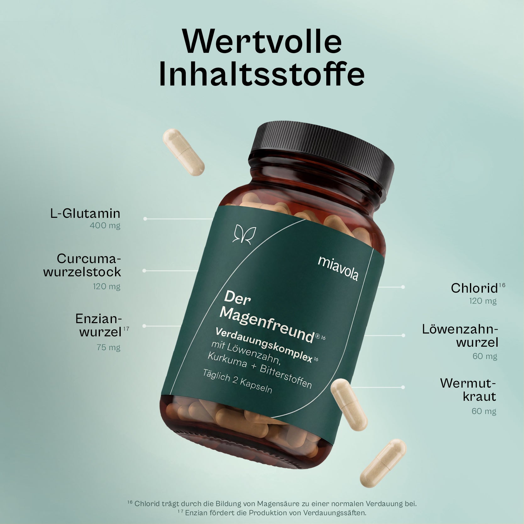 Inhaltsstoffe im Magenfreund pro Tagesdosis: L-Glutamin 400 mg, Curcumawurzelstock 120 mg, Enzianwurzel 75 mg, Chlorid 120 mg, Löwenzahnwurzel 60 mg, Wermutkraut 60 mg