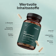 Inhaltsstoffe im Magenfreund pro Tagesdosis: L-Glutamin 400 mg, Curcumawurzelstock 120 mg, Enzianwurzel 75 mg, Chlorid 120 mg, Löwenzahnwurzel 60 mg, Wermutkraut 60 mg