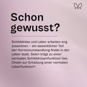 Infokachel „Schon gewusst?": Schilddrüse und Leber arbeiten eng zusammen. Selen trägt zu einer normalen Schilddrüsenfunktion bei, Cholin zur Erhaltung einer normalen Leberfunktion
