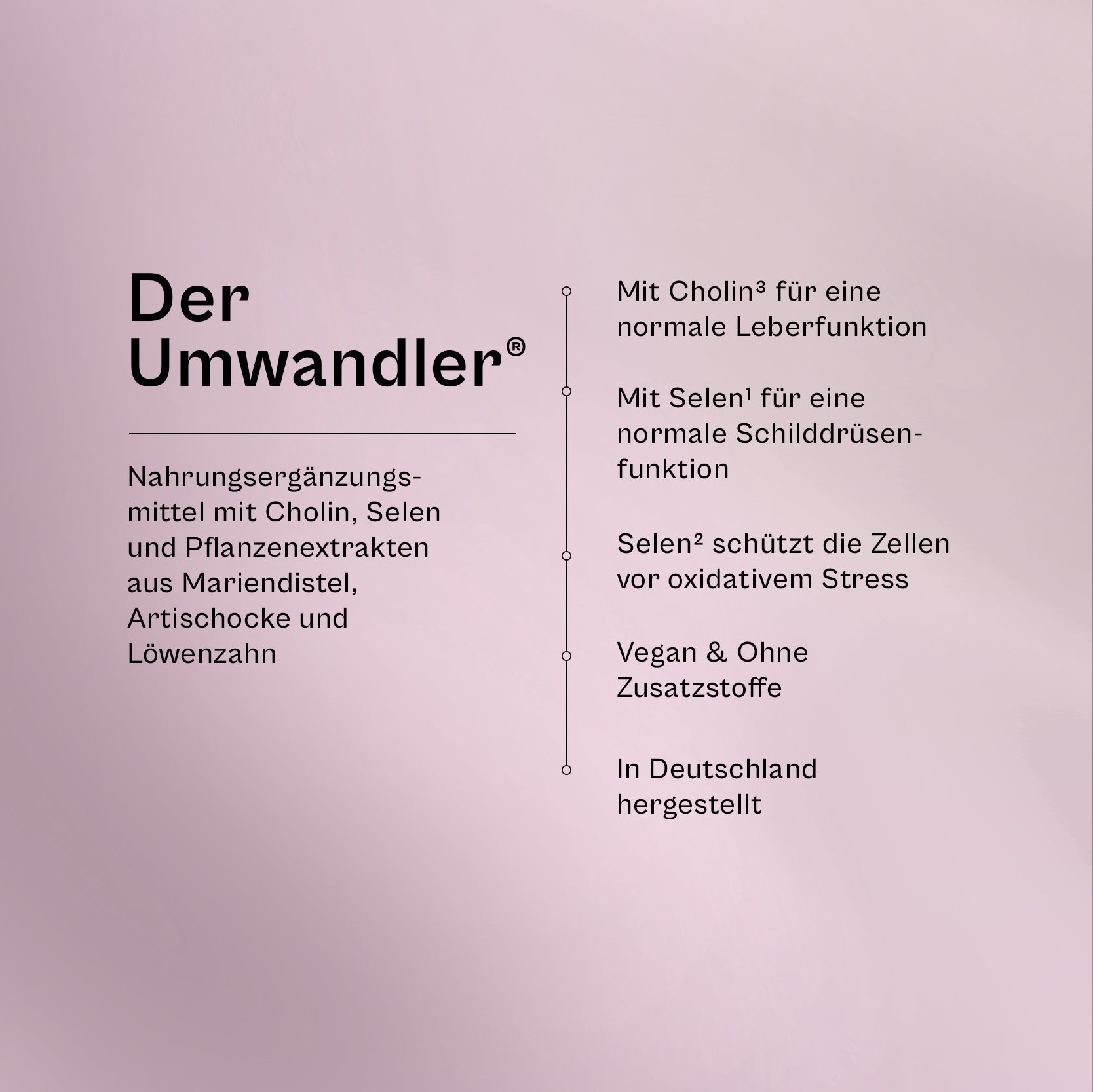 Der Umwandler im Überblick: Nahrungsergänzungsmittel mit Cholin, Selen und Pflanzenextrakten aus Mariendistel, Artischocke und Löwenzahn, mit Cholin für eine normale Leberfunktion, mit Selen für eine normale Schilddrüsenfunktion, Selen schützt die Zellen vor oxidativem Stress, vegan, ohne Zusatzstoffe, in Deutschland hergestellt